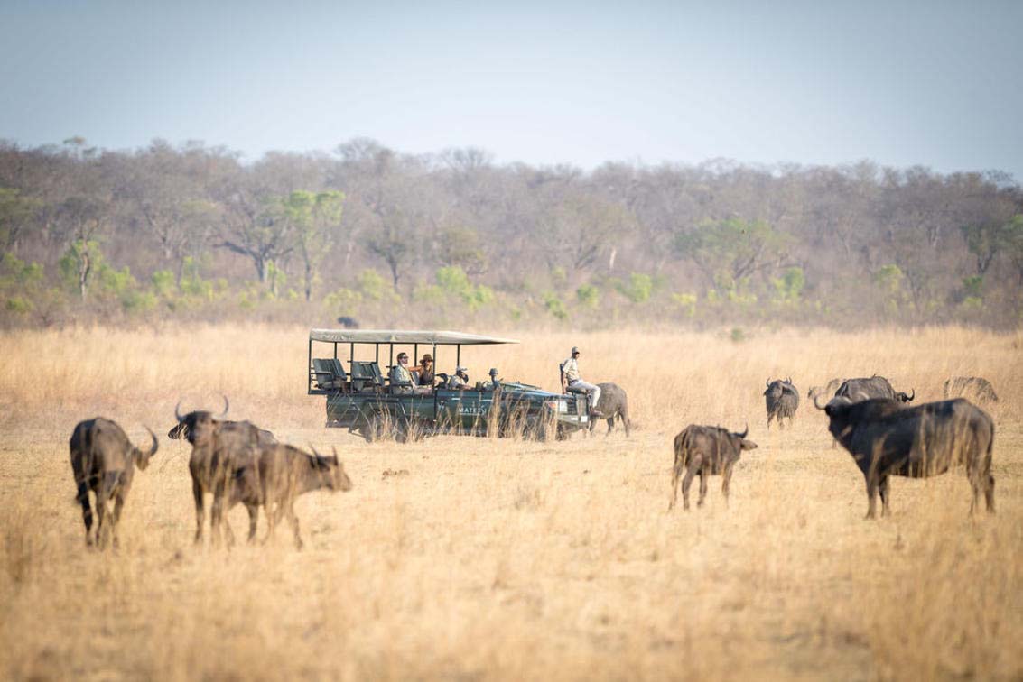 Travel to Zambezi National Park for a Zimbabwe Luxury Safari
